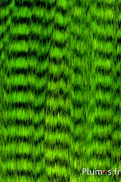 Extensions synthétiques - 40 cm, clip 3 couleurs - vert